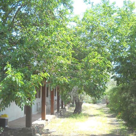 Agriturismo Su Tiresi كالا غونوني المظهر الخارجي الصورة