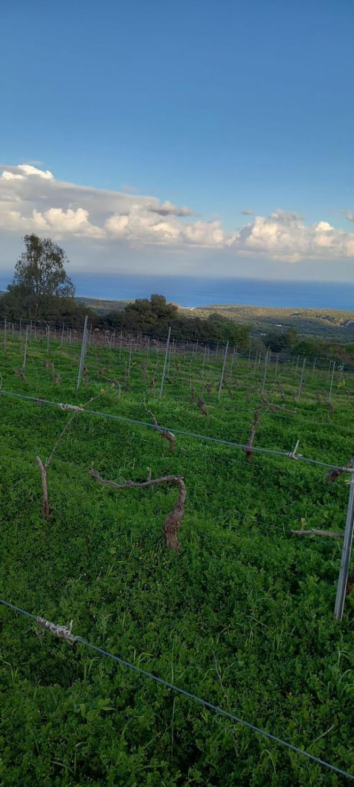 Agriturismo Su Tiresi كالا غونوني المظهر الخارجي الصورة