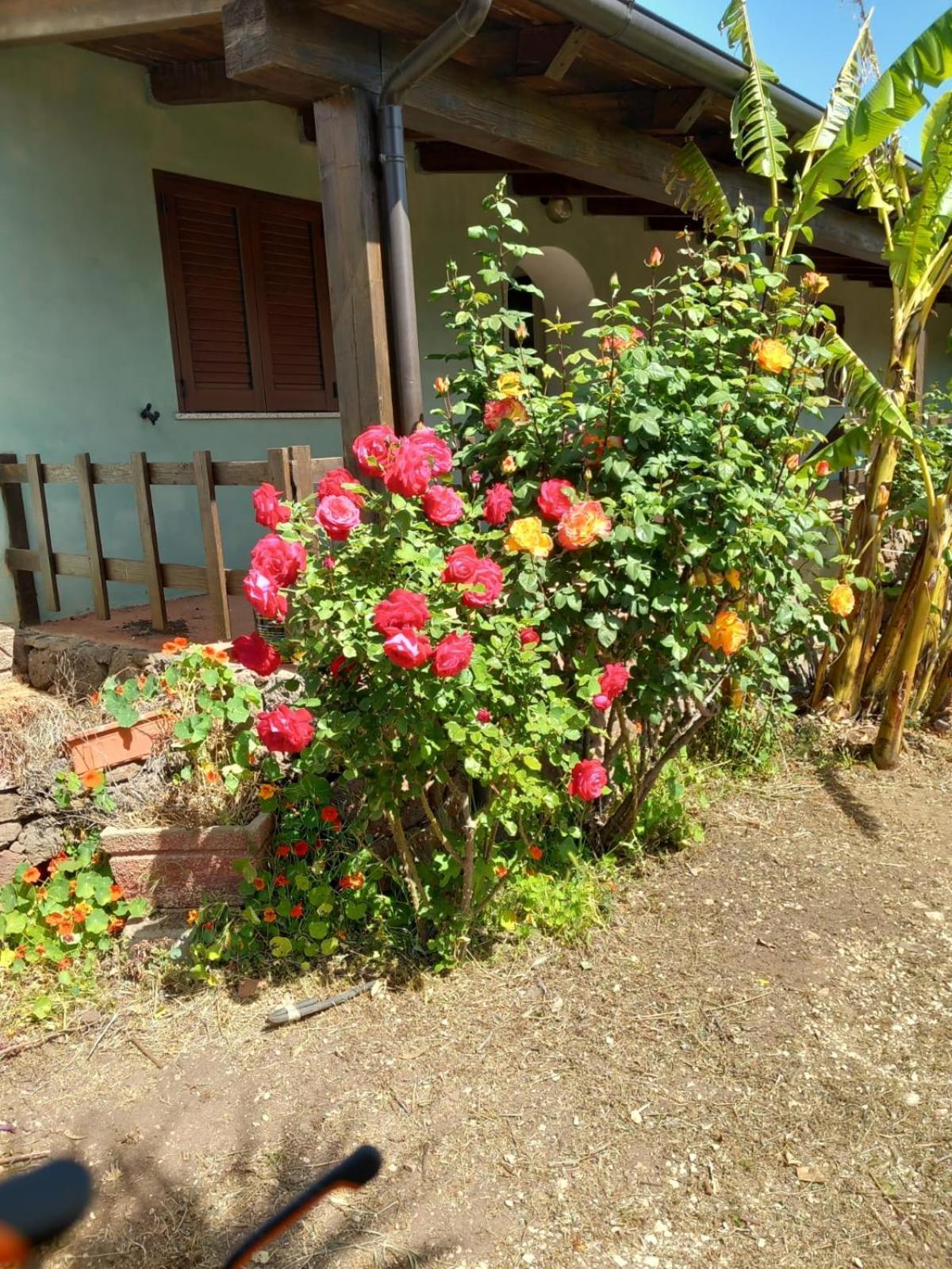 Agriturismo Su Tiresi كالا غونوني المظهر الخارجي الصورة