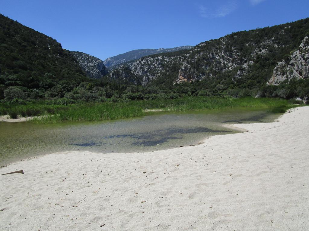 Agriturismo Su Tiresi كالا غونوني المظهر الخارجي الصورة
