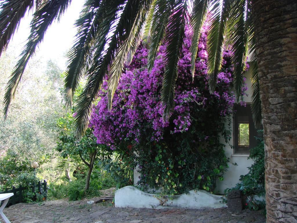 Agriturismo Su Tiresi كالا غونوني المظهر الخارجي الصورة
