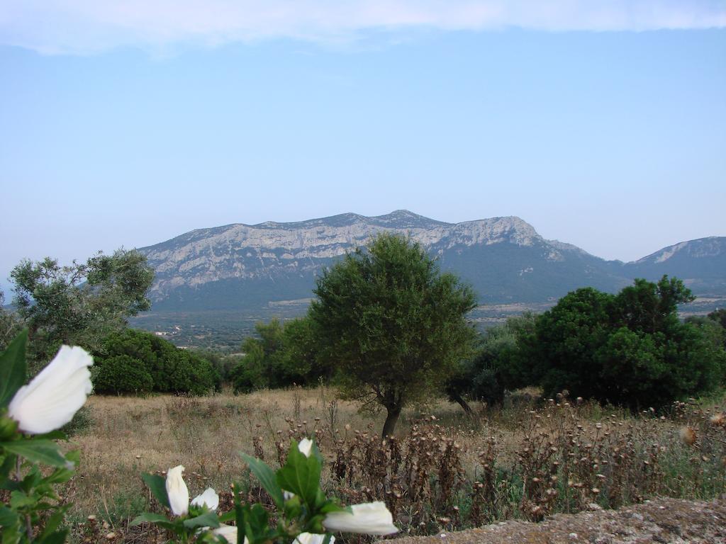Agriturismo Su Tiresi كالا غونوني المظهر الخارجي الصورة