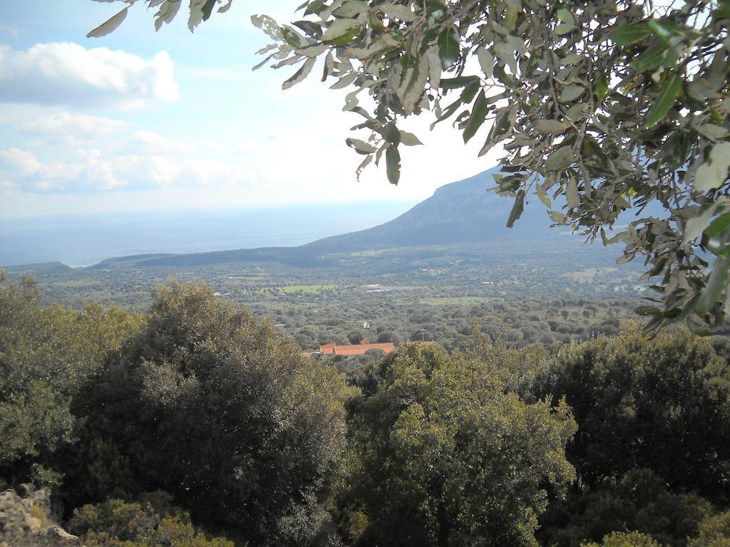 Agriturismo Su Tiresi كالا غونوني المظهر الخارجي الصورة