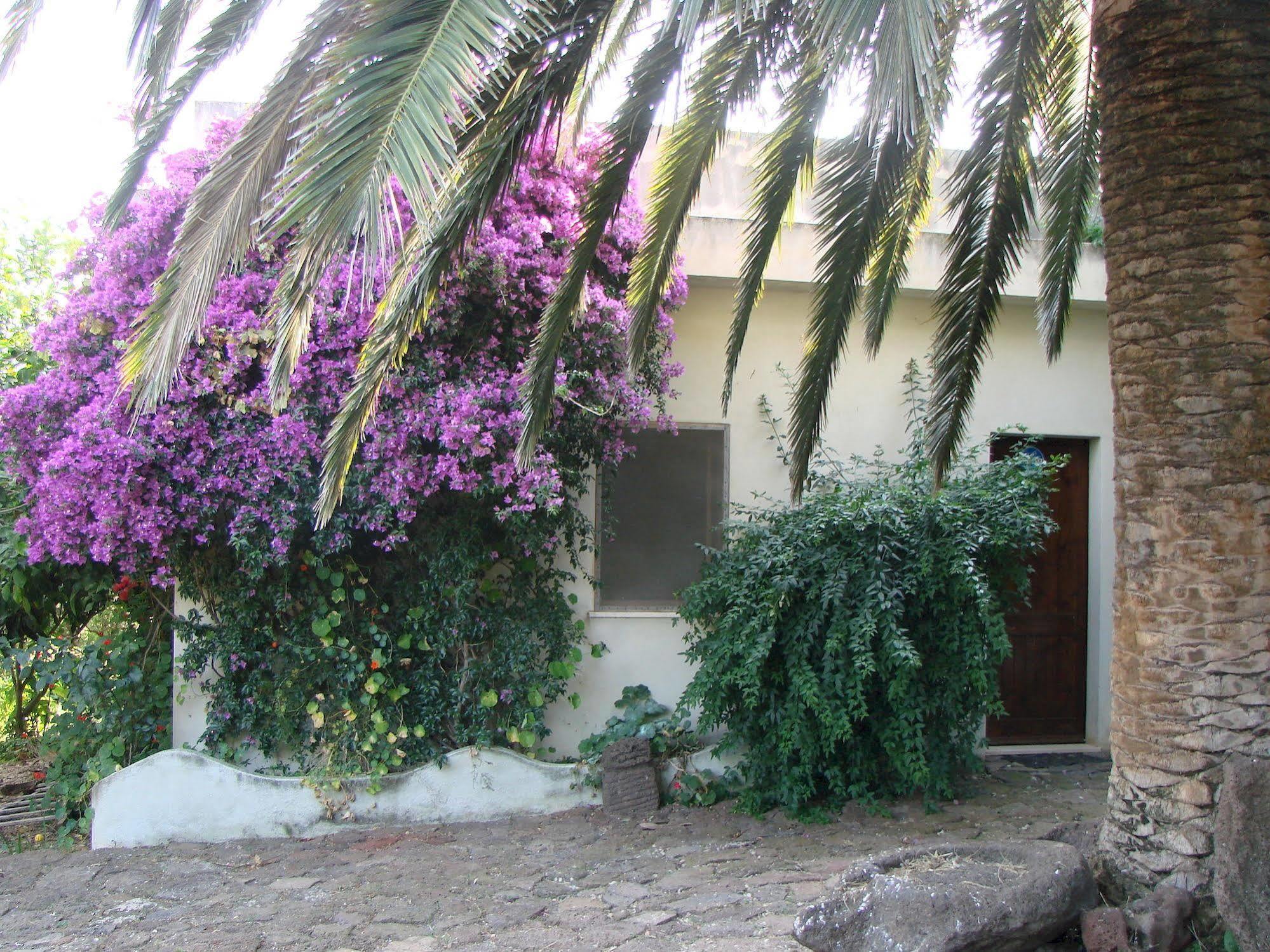 Agriturismo Su Tiresi كالا غونوني المظهر الخارجي الصورة