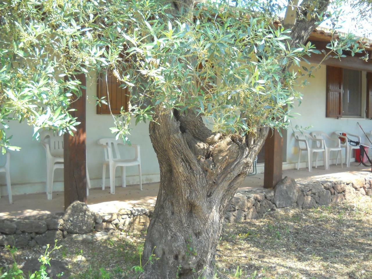 Agriturismo Su Tiresi كالا غونوني المظهر الخارجي الصورة