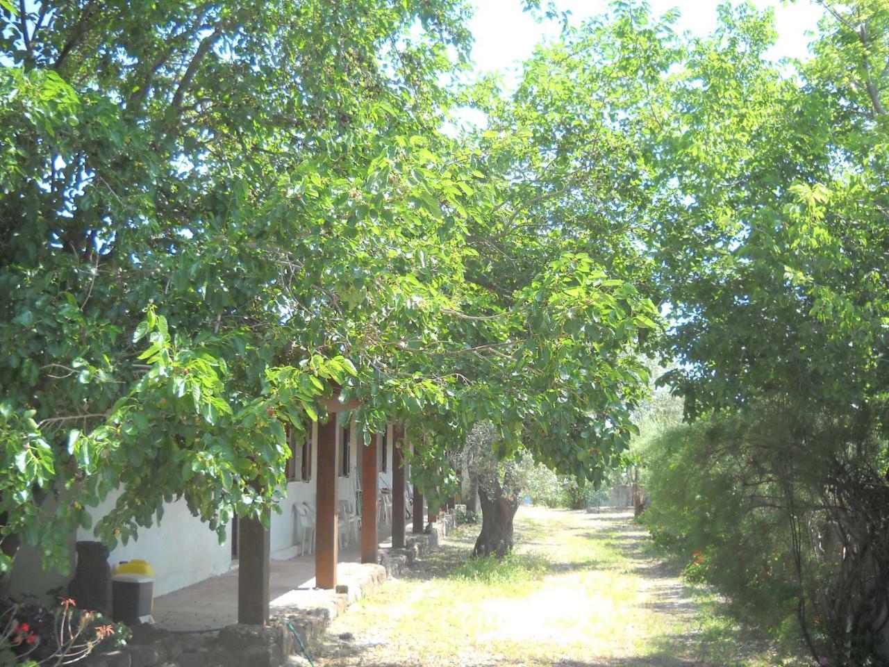 Agriturismo Su Tiresi كالا غونوني المظهر الخارجي الصورة
