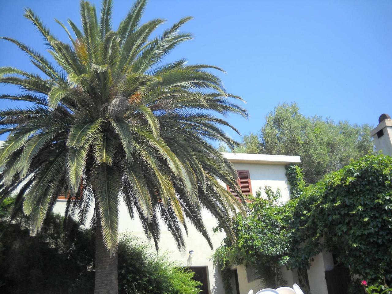 Agriturismo Su Tiresi كالا غونوني المظهر الخارجي الصورة