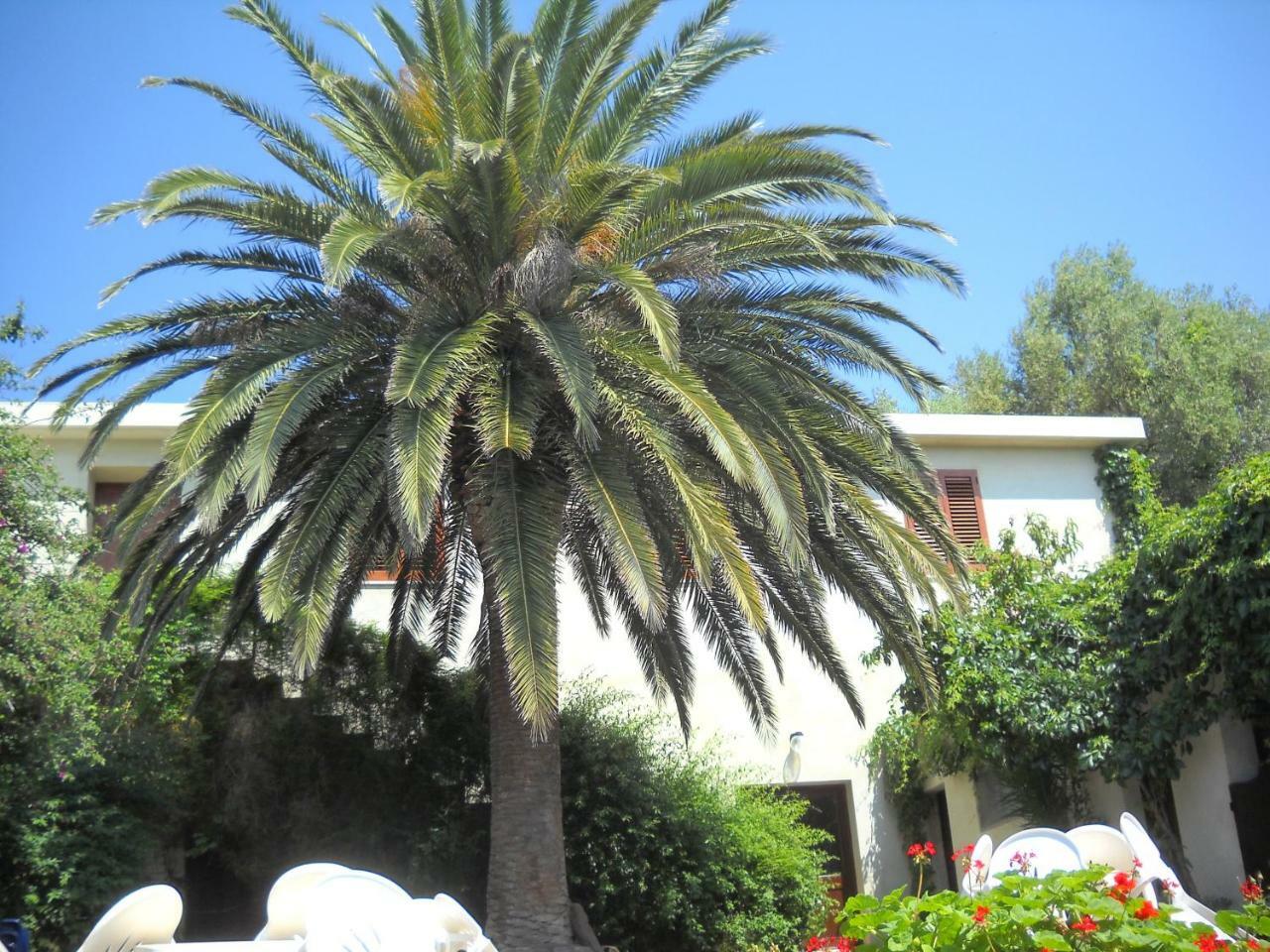 Agriturismo Su Tiresi كالا غونوني المظهر الخارجي الصورة